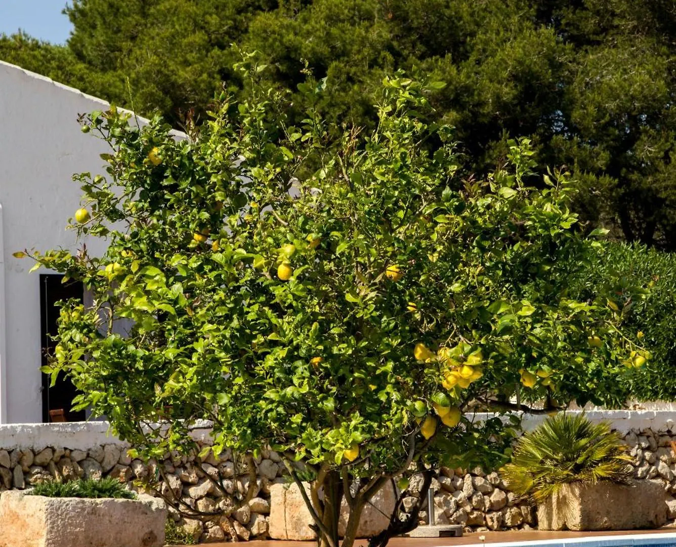 Agroturismo Binissafullet Vell Сант-Луис